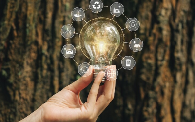 Ecological trends for 2023 and beyond