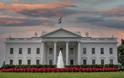 President Trump Edition