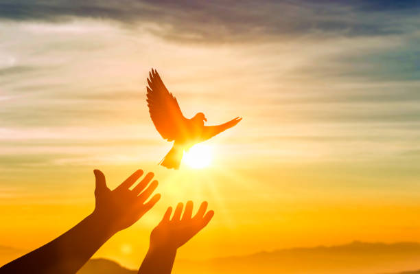 A New Year’s Guide to Goal Setting Edition